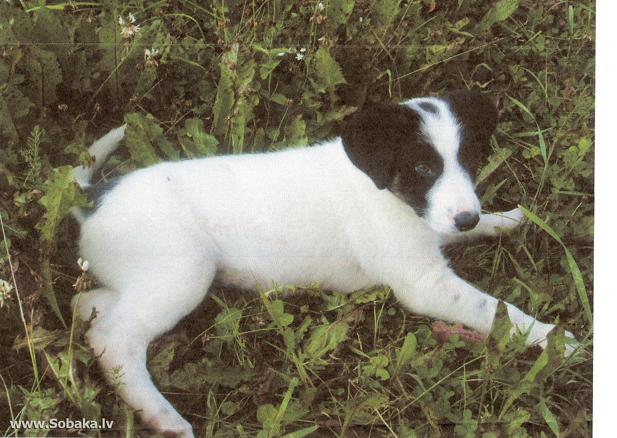 Фото из открытого источника