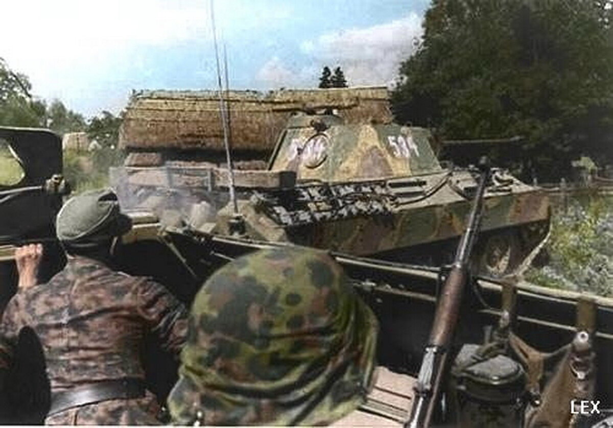 31 танковый полк 5 танковая дивизия вермахта