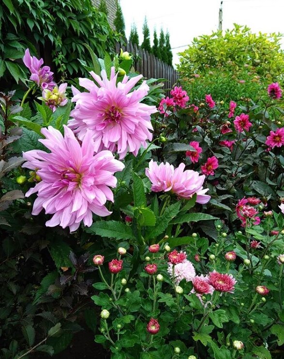 быстрее бы лето!