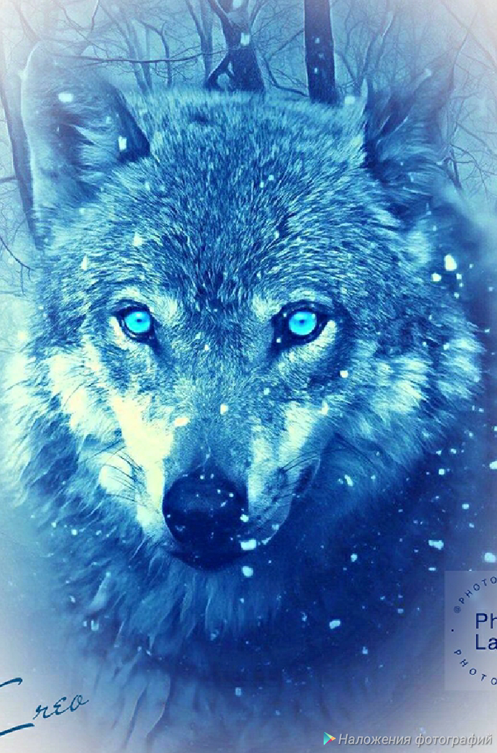 Хелен бежала так быстро, что ее несуразная лохматая тень о трех лапах и одной ноге не успевала зацепиться за деревья.  Подлые дети даже не дали ей времени трансформироваться. Сопливый засранец-командир крикнул: Беги! и швырнул в нее смолистый факел. 