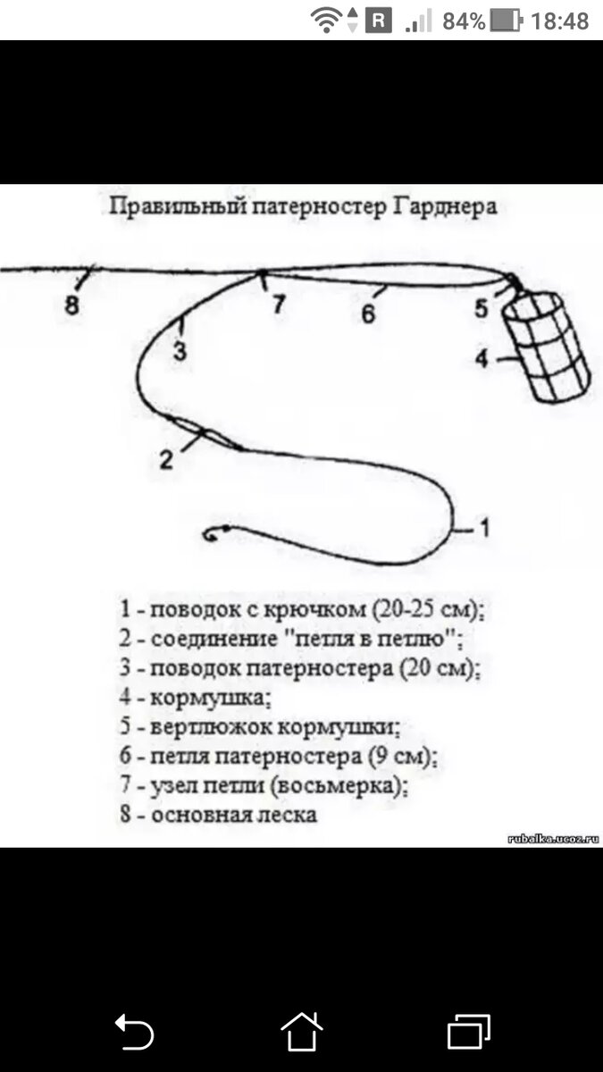 Все о фидерном монтаже Патерностер (Paternoster)