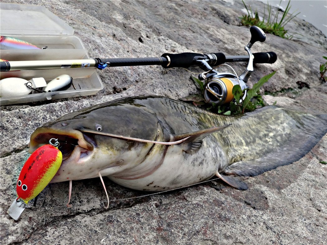 Изображения взято с ресурса Яндекс.Картинки