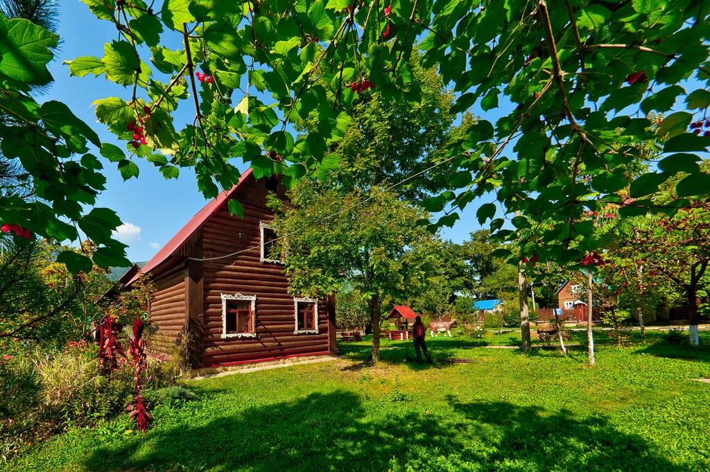 Отдых в селе картинки