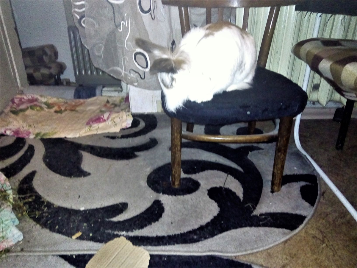 Тошик на недостульчике. Справа - недостолик :)))