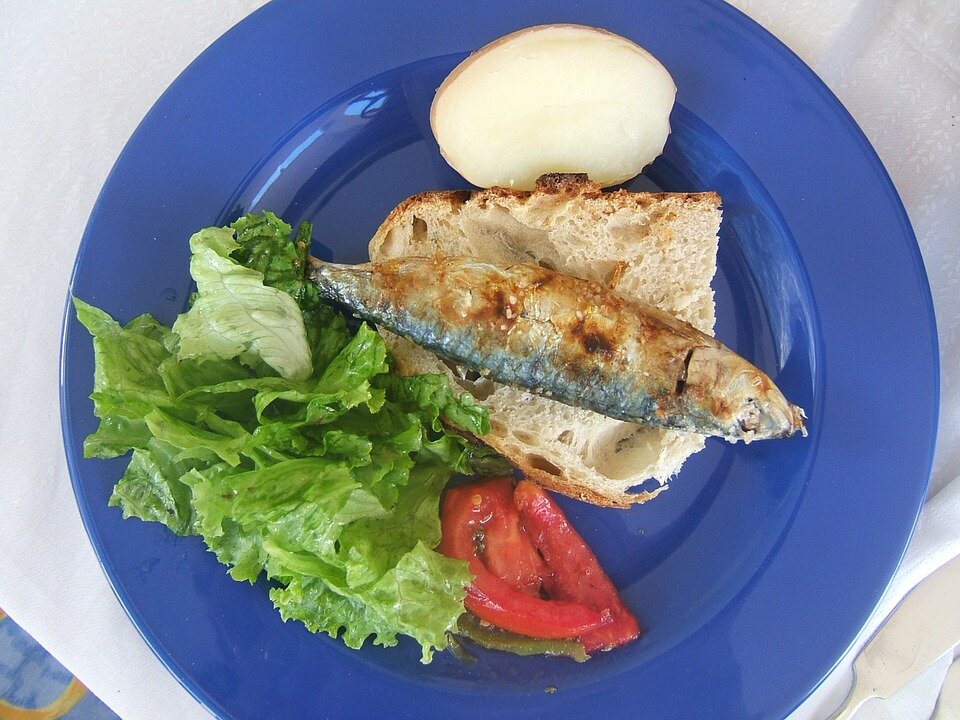 https://cdn.pixabay.com/photo/2014/02/25/18/53/sardines-274459_960_720.jpg