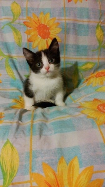 Ей всего месяц-1.5 а она уже узнала предательство