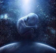 Из свободного доступа