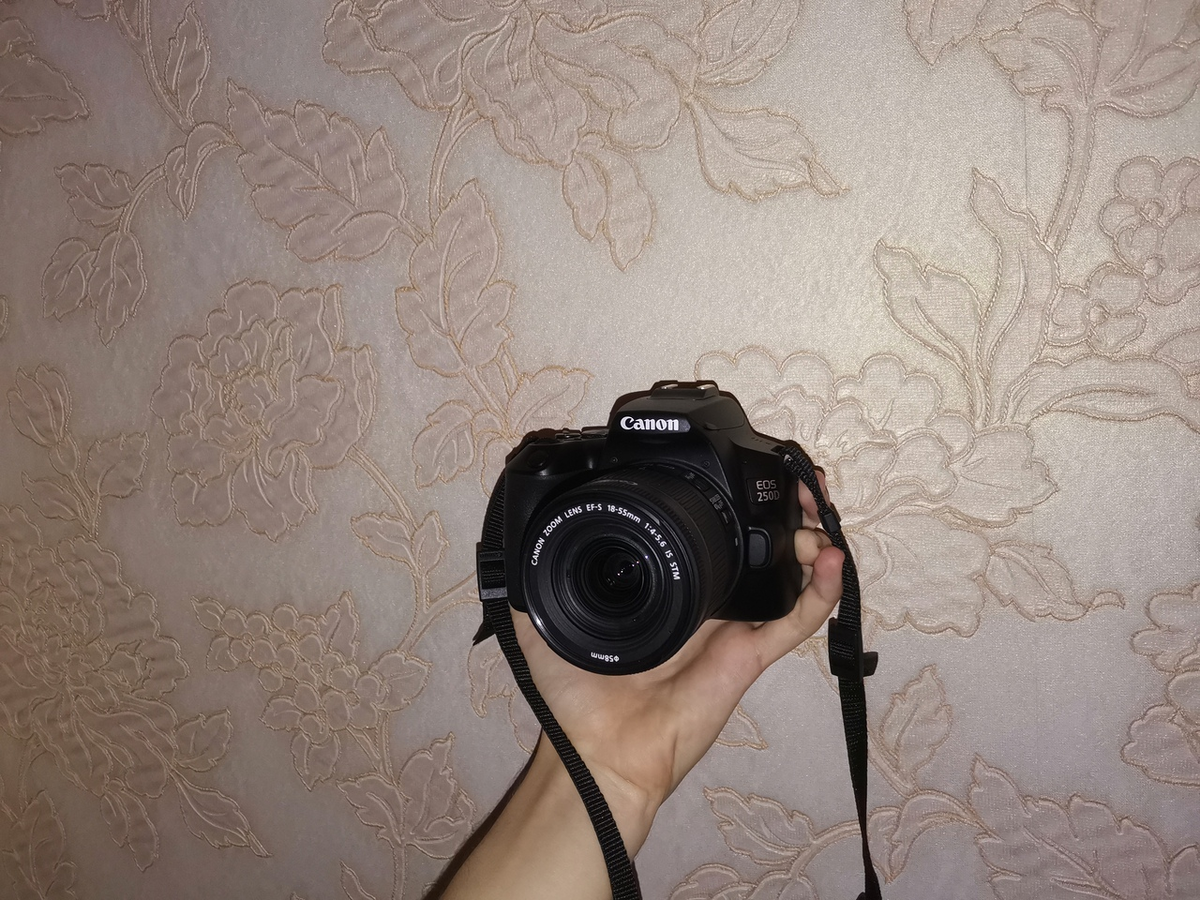 canon eos 250 d