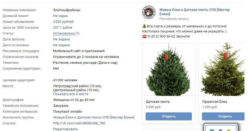 Бизнес проект продажа елок Бизнес кейс: как заработать на елках к Новому Году? BIG CASH Дзен
