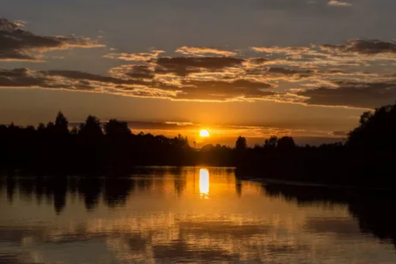 из открытых источников.