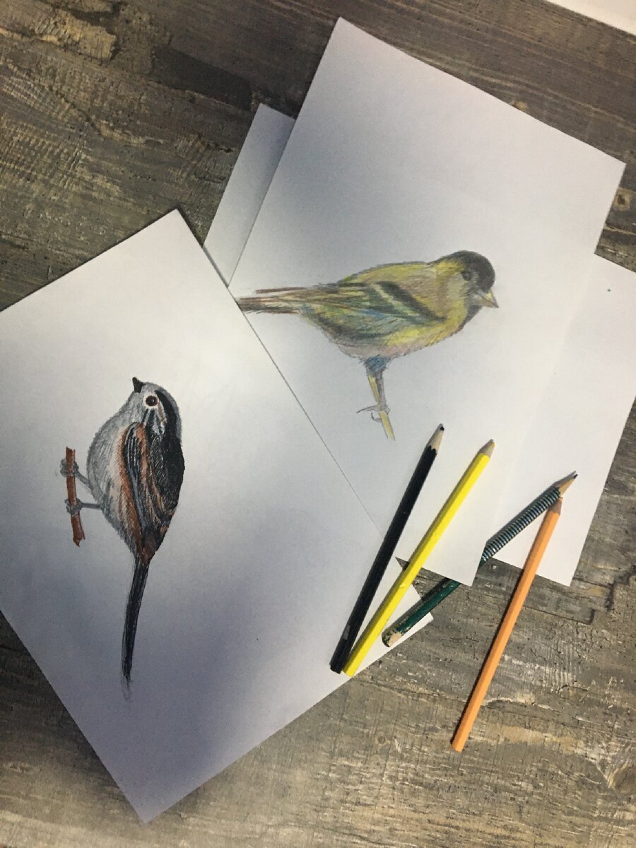 Изучаем, кто такие ополовник и чиж