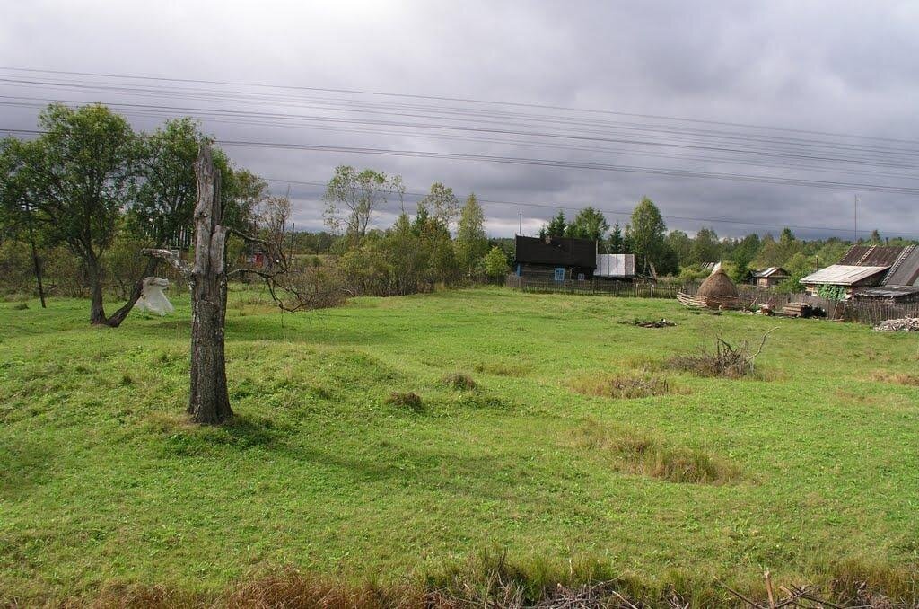 Деревня Погостье. 10 домов и 2 жителя.