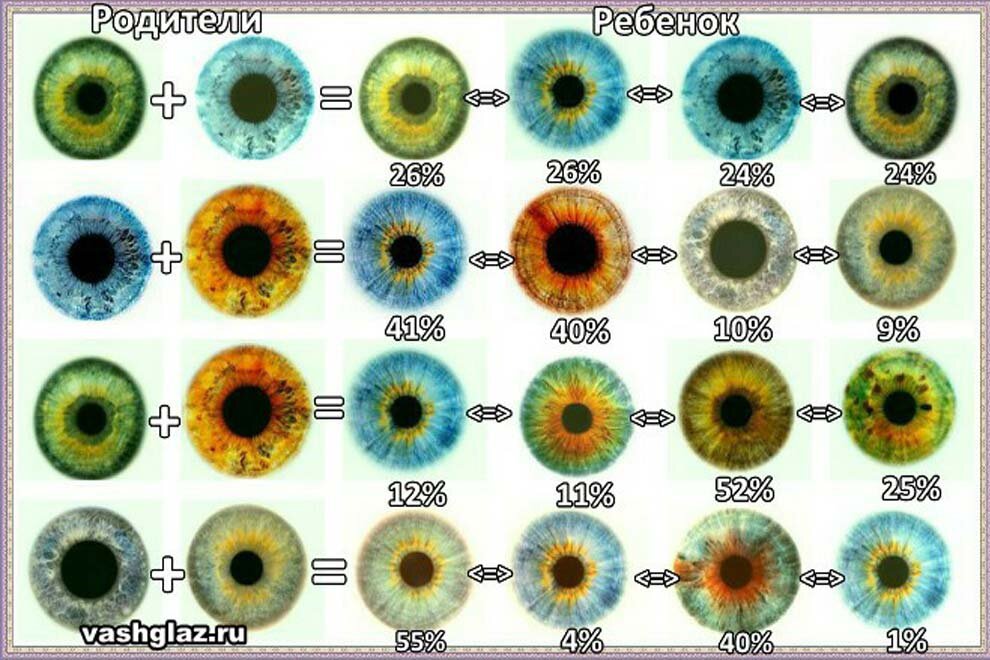 Какой цвет глаз будет у ребенка — пройти тест.