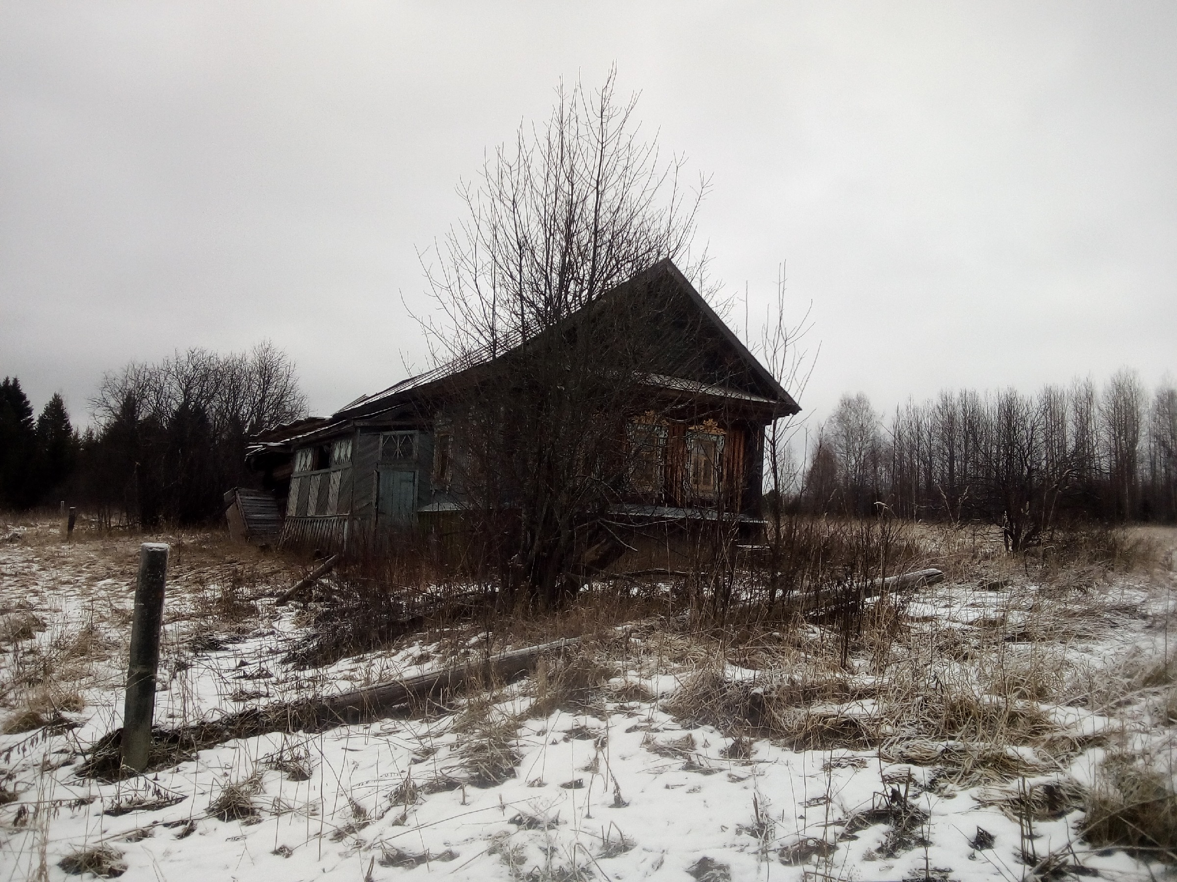 Село поро. Заброшенные деревни Мордовии. Заброшенный поселок Бортники. Заброшенная деревня ворон Одина.