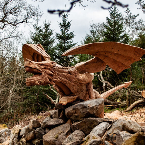 https://www.treecarving.co.uk/case-studies/dragon-of-bethesda/