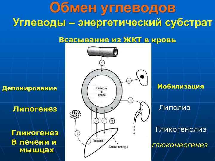из интернета