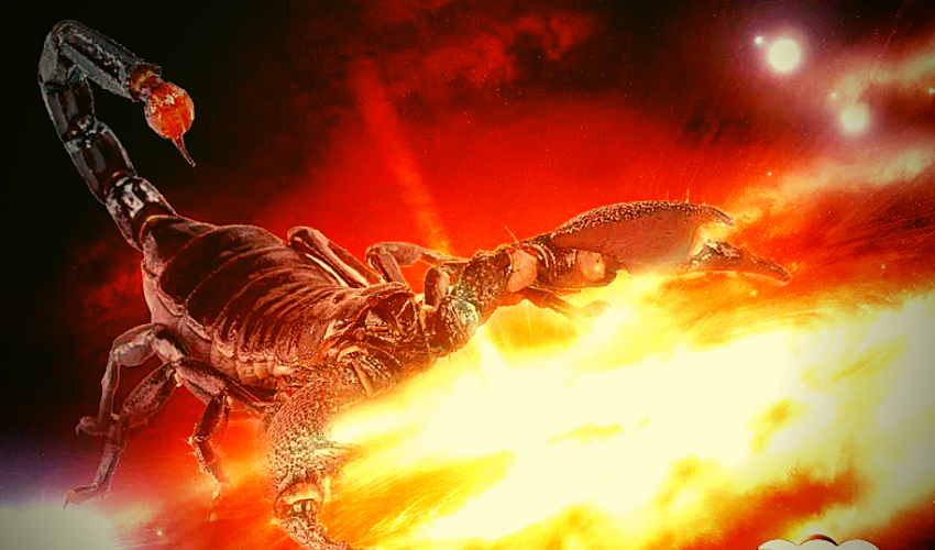 Яндекс. Картинки