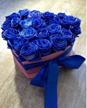 Фото из открытого источника 