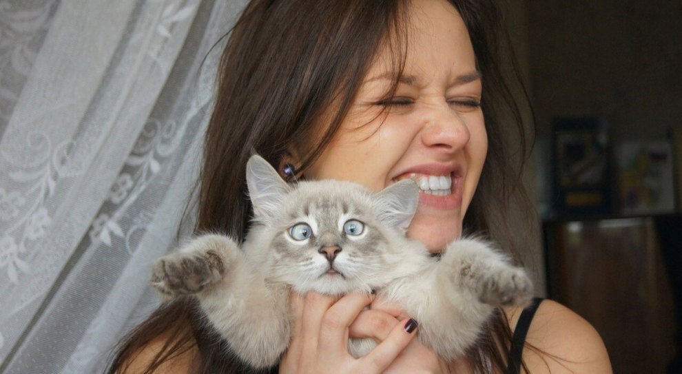 Источник фото: https://chatliv.com