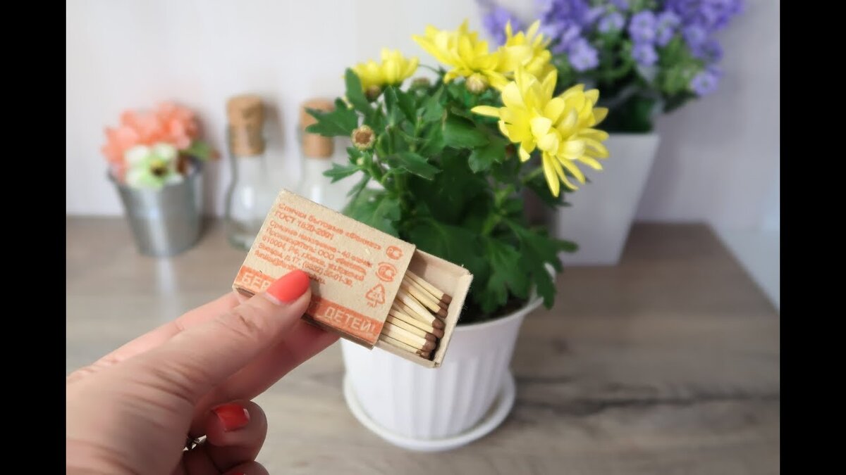 Самым эффективным методом, позволяющим уничтожить мошек быстро и навсегда, является..