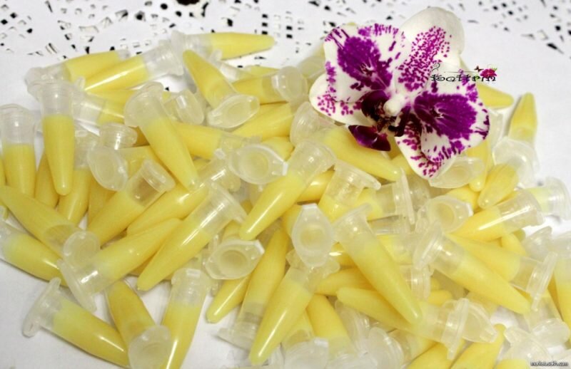 Источник: attuale.ru/