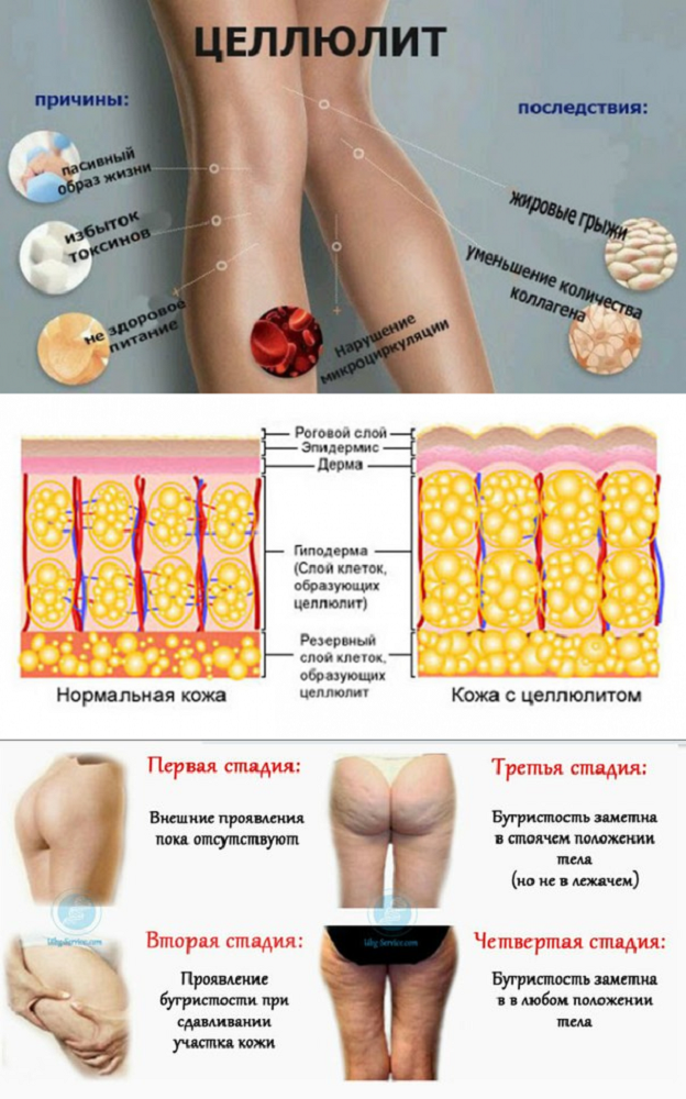 Изображение взято с Яндекс.Картинок
