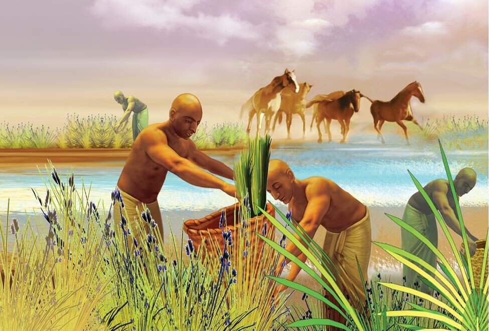 ирригация в древнем египте. древний египет нил земледелие. древнее двуречье поселок шумеров. ирригационная система шумеров. ирригации в древнем вавилоне.