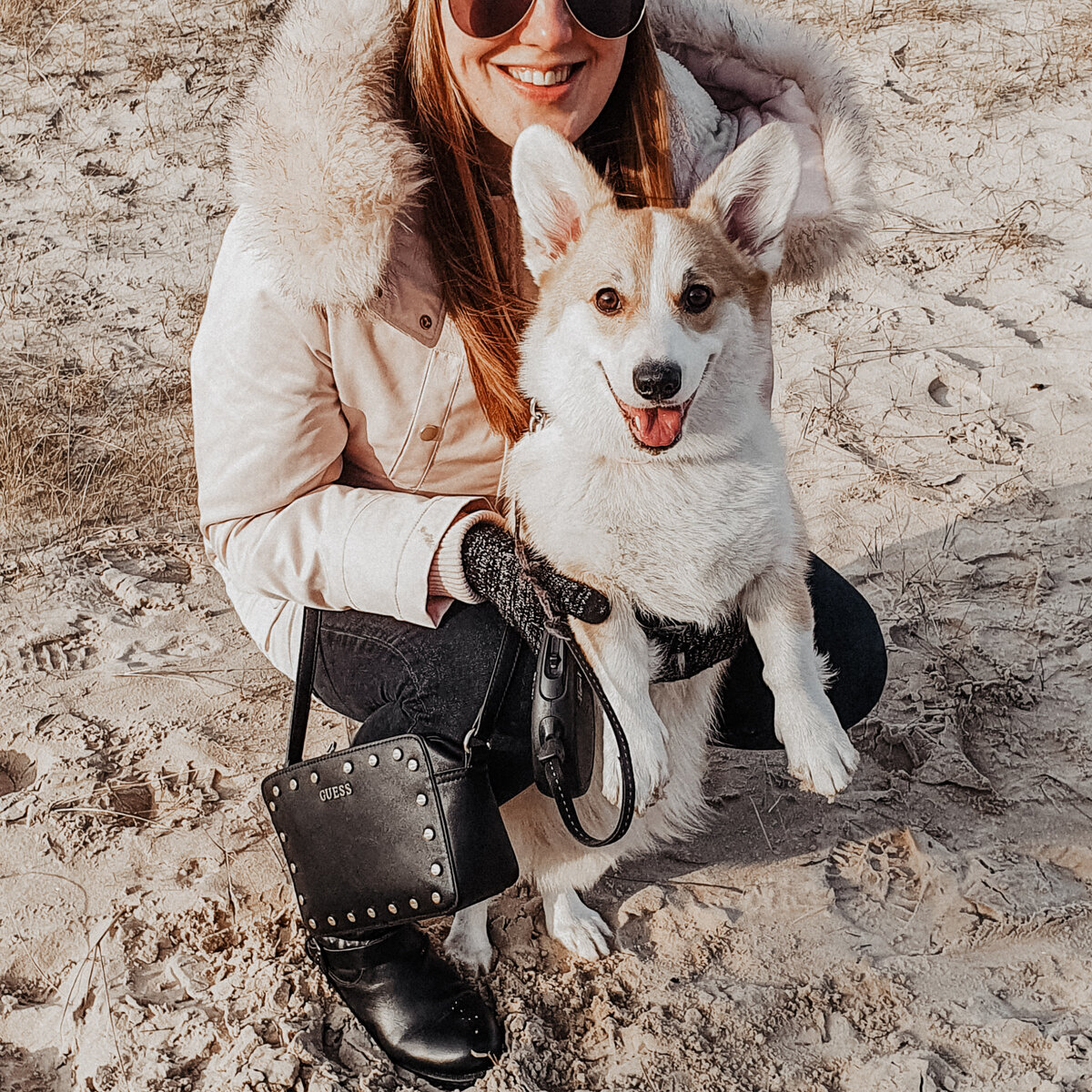 Собака-улыбака