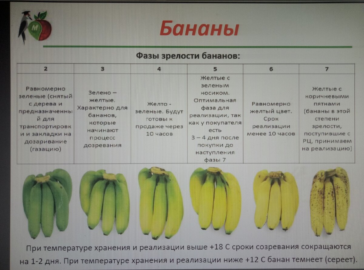 Степень зрелости бананов картинки