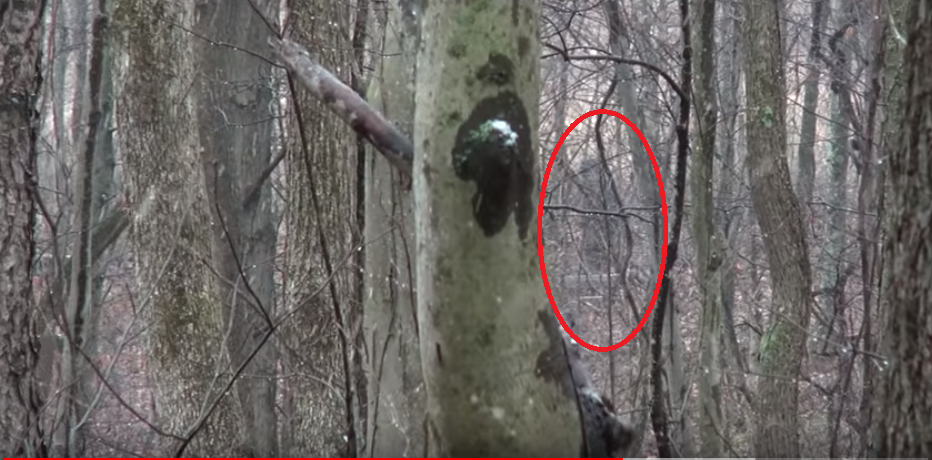 Youtube.com Канал "We Do It Outdoors"