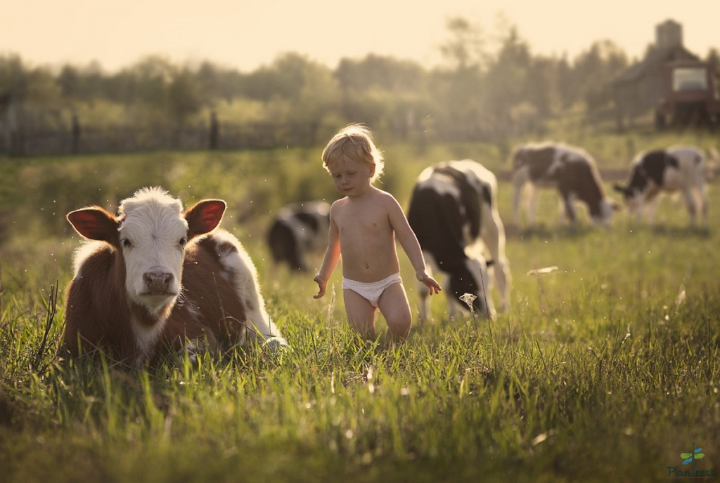 Фото для обложки из:  gotonature.ru