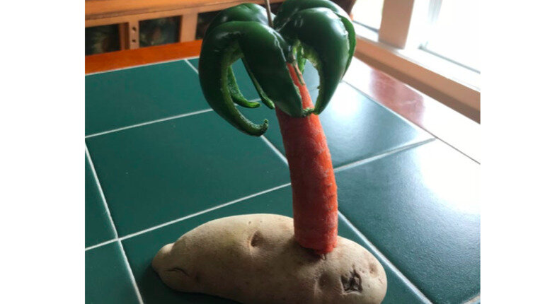 Фото: Из открытых источников