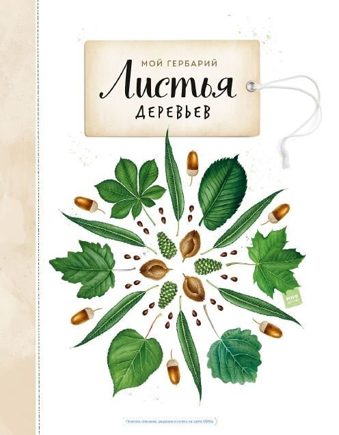 Мой гербарий. Листья деревьев. Васильева Анна