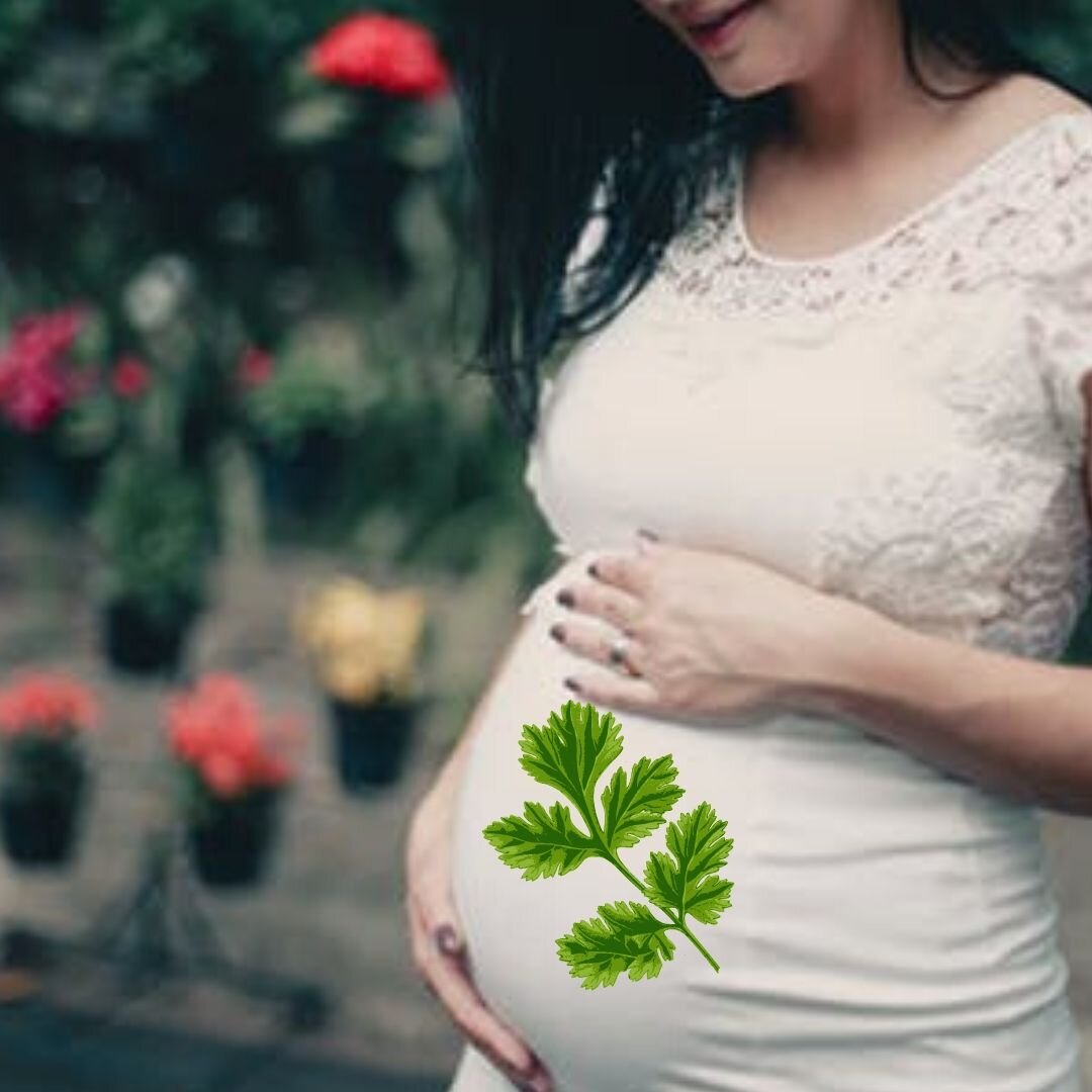 Беременность - это период повышенного внимания ко всему, что ешь и пьёшь. И травы тут далеко не исключение!