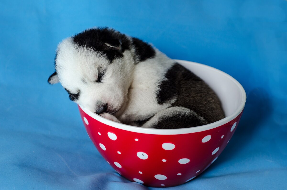 на фото малыш Полдень