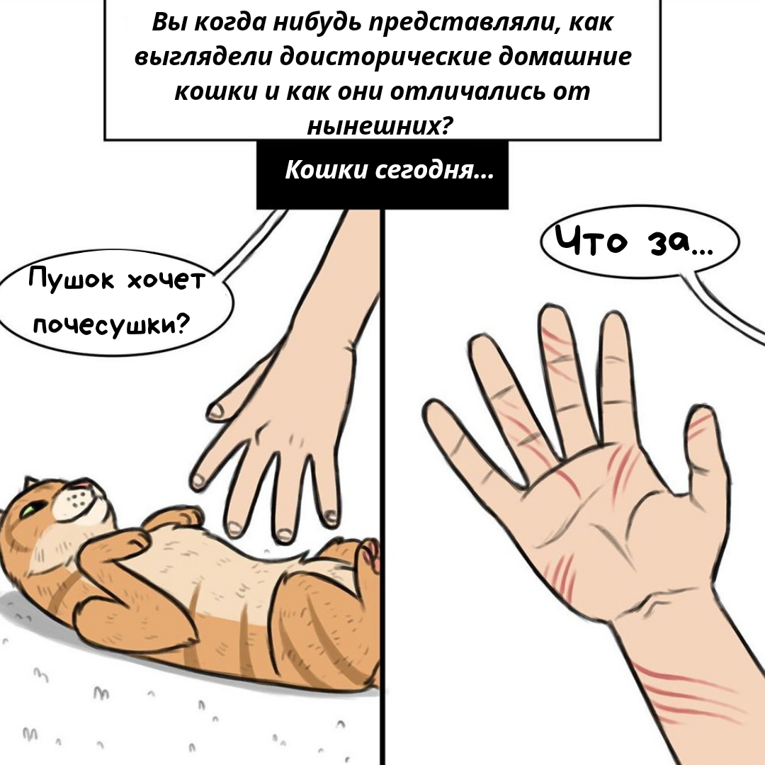 Источник: Instagram @funny_comix_rus 