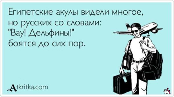 Из Яндекса