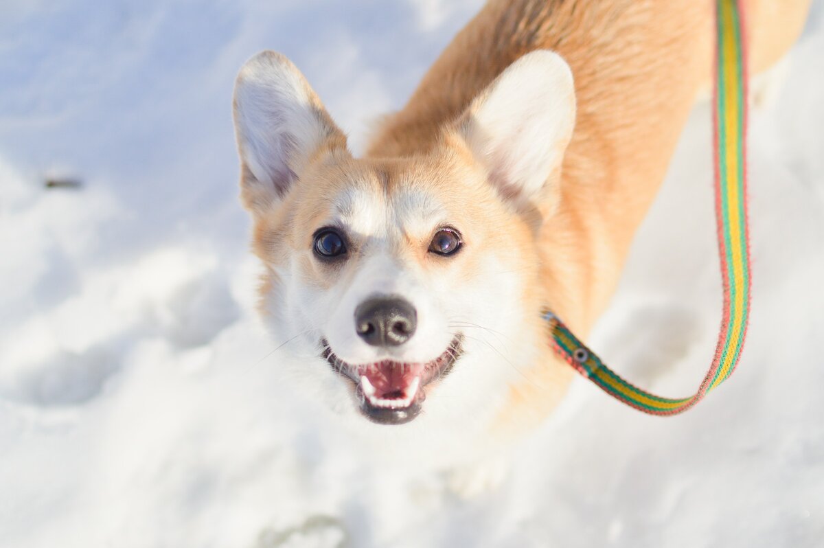Мою радость не передать словами❄️