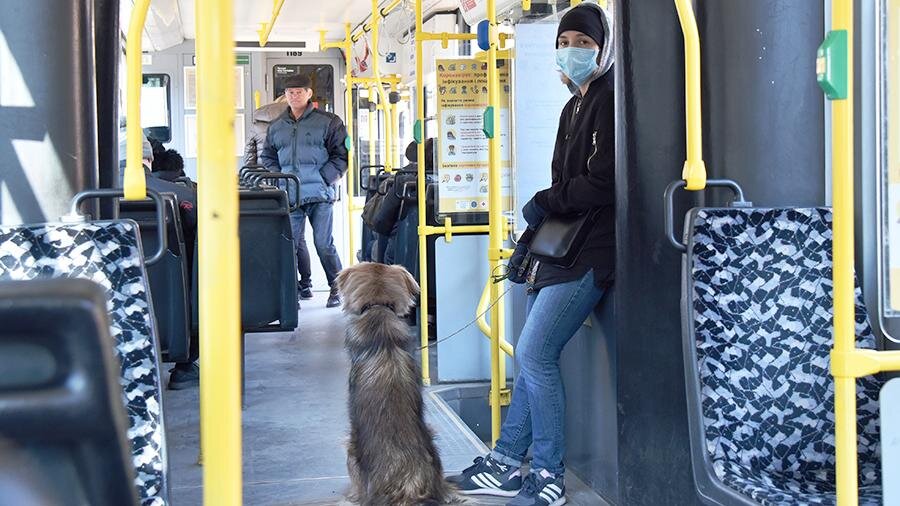 Фото: РИА Новости/Стрингер