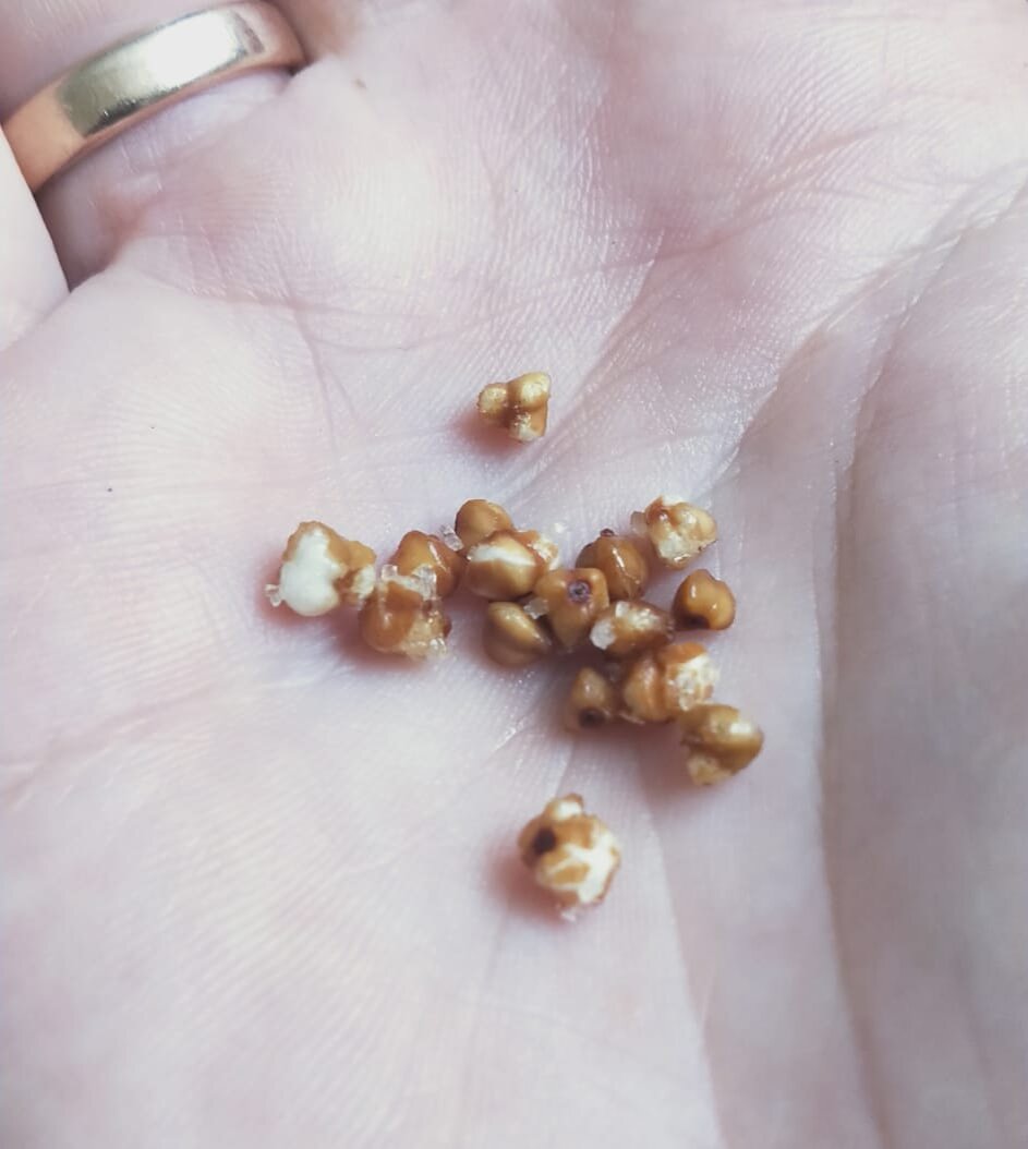 Фотала сама