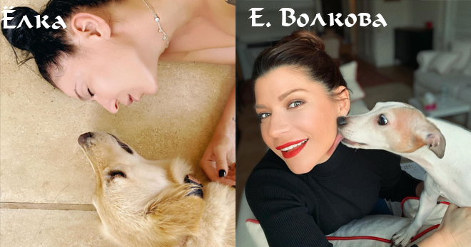 Обе любят собак. Да и собаки похожи)