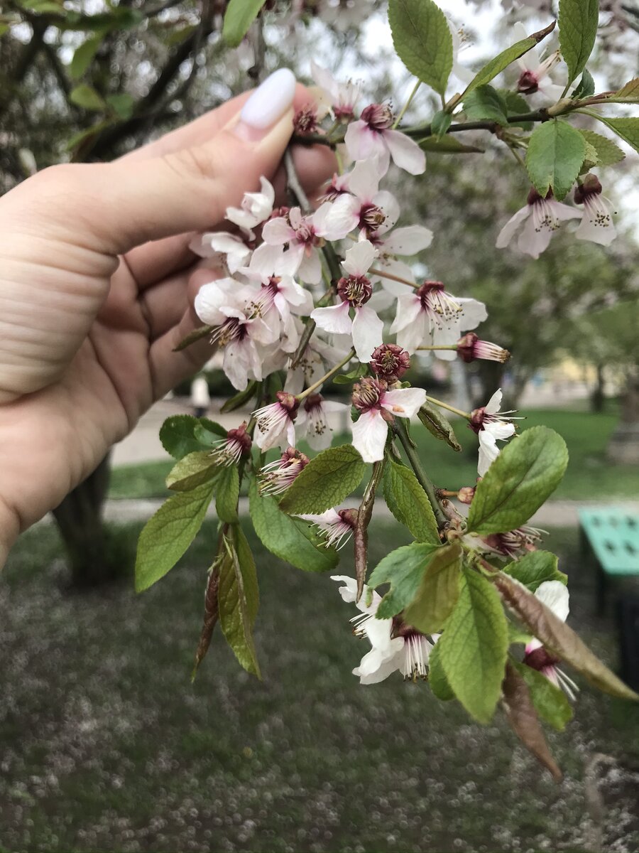 На фото отчетливо видно, рука лишняя и она все портит. 