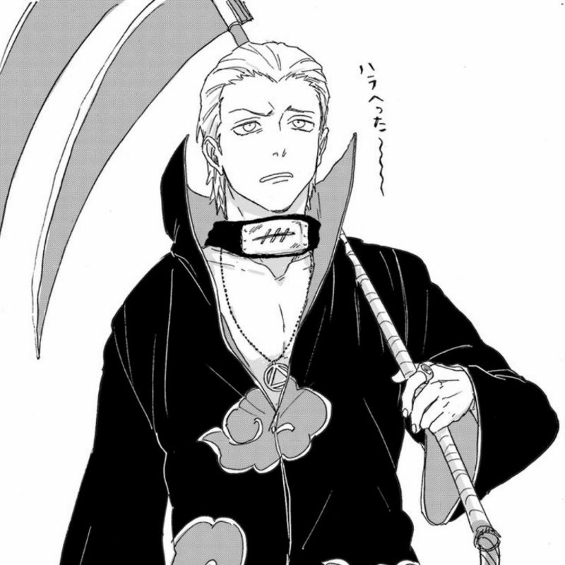 Хидан (яп. 飛段, Хидан) — ниндзя-отступник S-ранга из Скрытых Горячих Источников, позже присоединившийся к Акацуки. Был партнёром Какузу, несмотря на их взаимную неприязнь друг к другу. Также являлся вторым новым членом Акацуки на момент появления Тоби.[2] Кисаме Хошигаки в шутку называл Хидана и Какузу Комбинацией Зомби (яп. ゾンビコンビ, Дзонби Конби).[3]