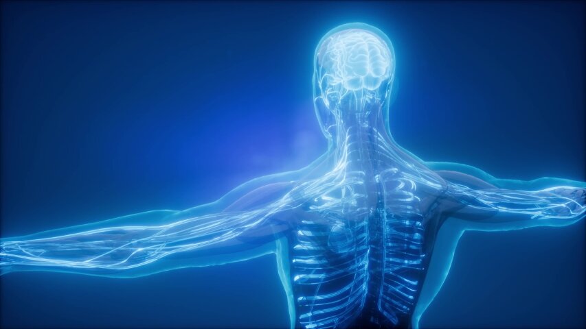  Источник - Яндекс.Картинки