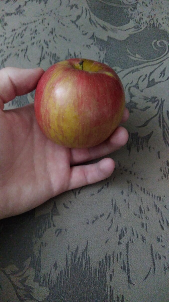 Яблоко 