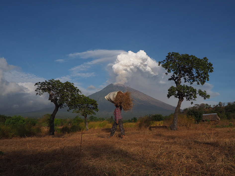Фото: Monstar Simanjuntak/Global Look Press 