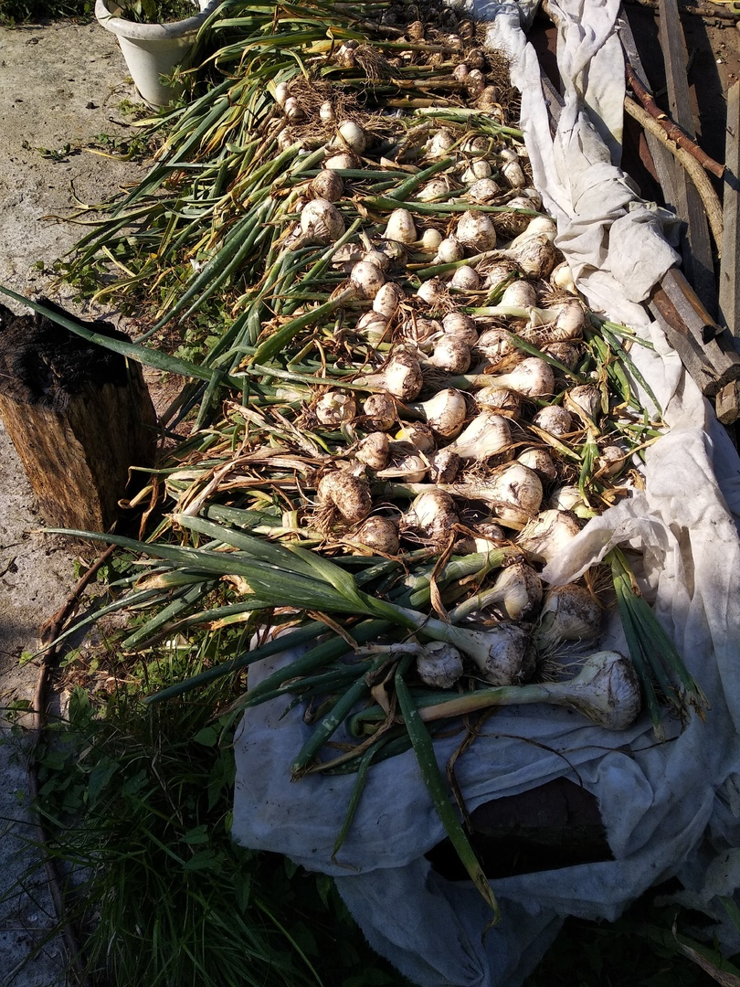 Из личного архива