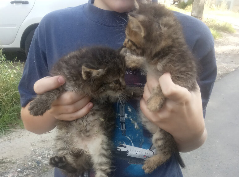 Фото настоящее. Галерея -->