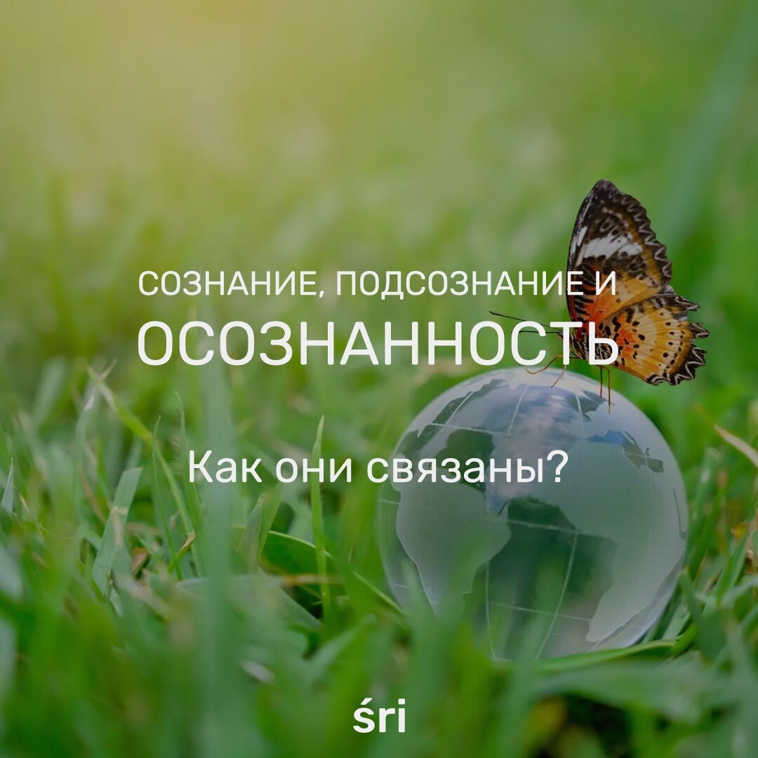 Медитация и осознанность