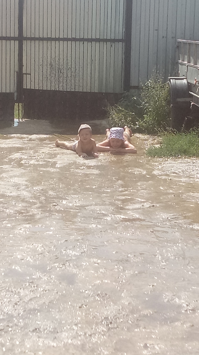 Загорают в самодельной луже, которую налили из шланга на бетонном дворе бабушки. 